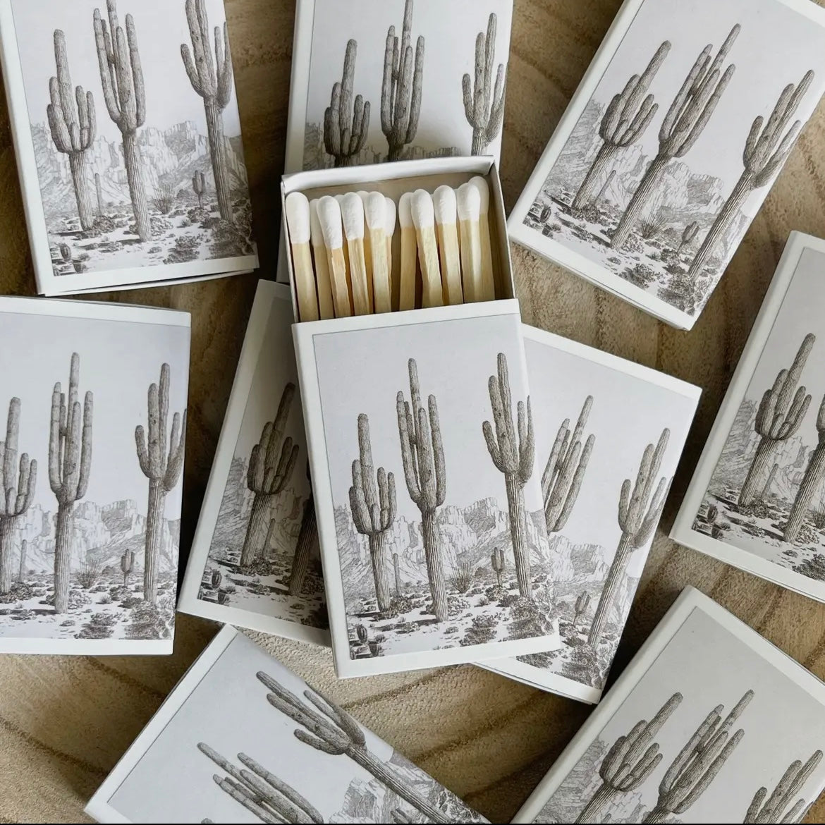 Cactus Matchbox Set.