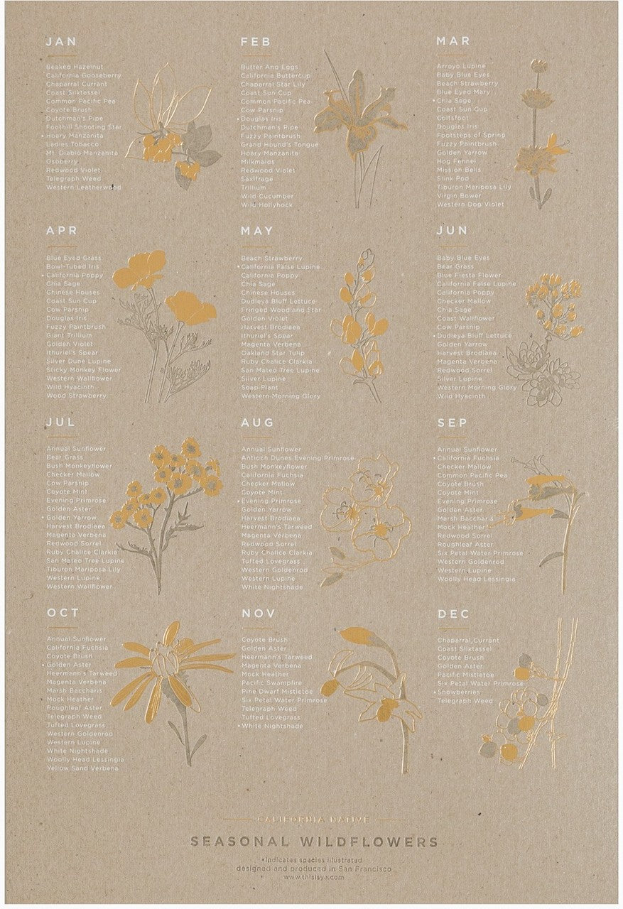 Foil Pressed California Native Wildflower Poster