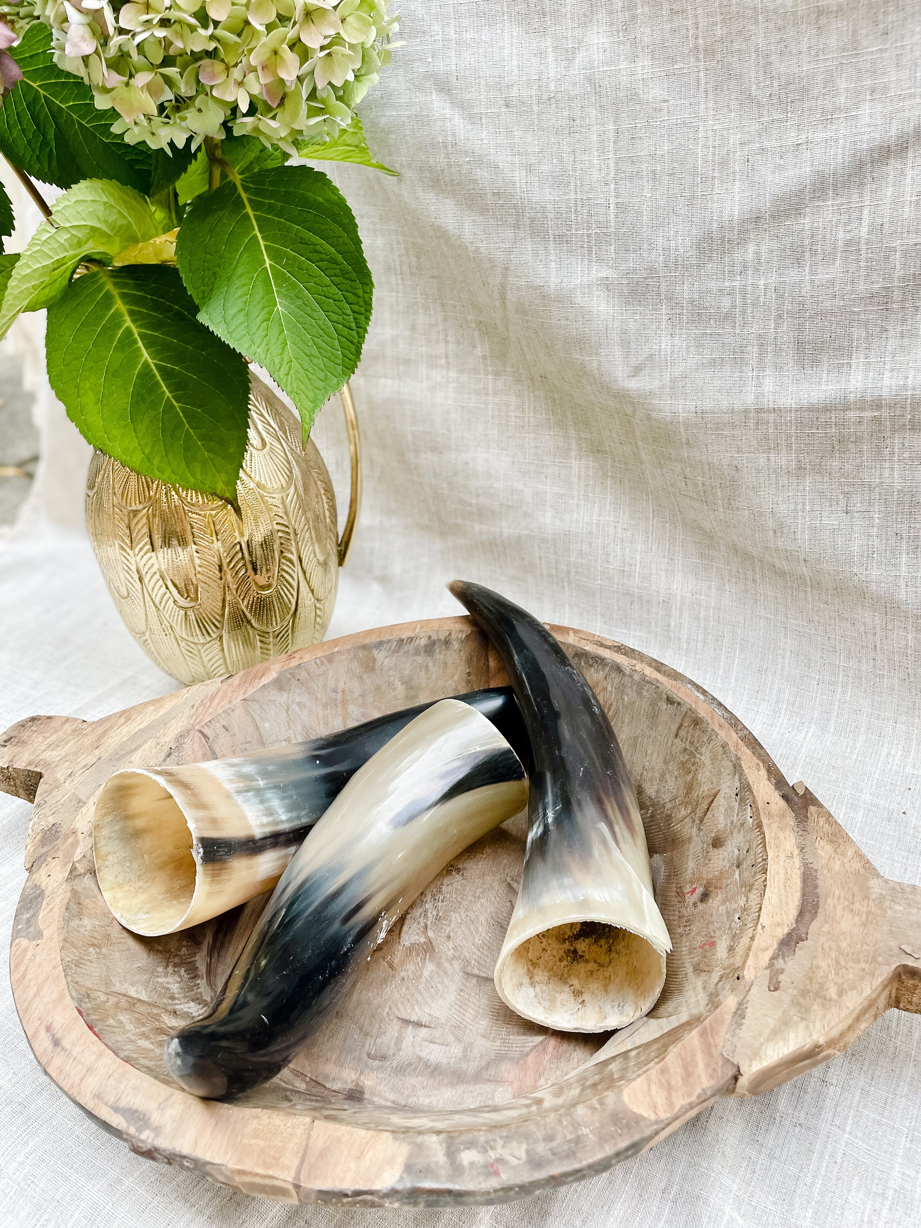 Decorative Cow Horn