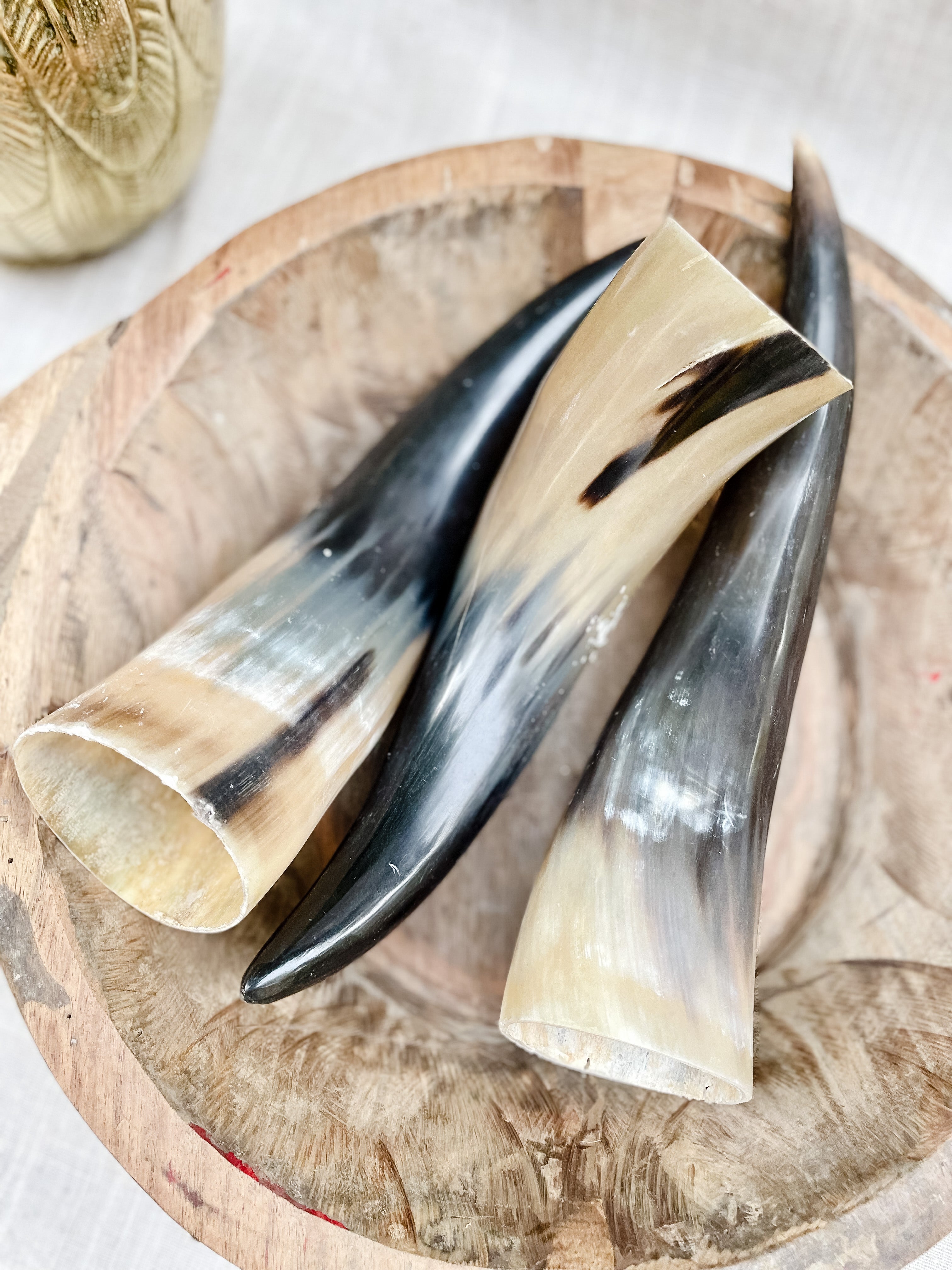 Decorative Cow Horn